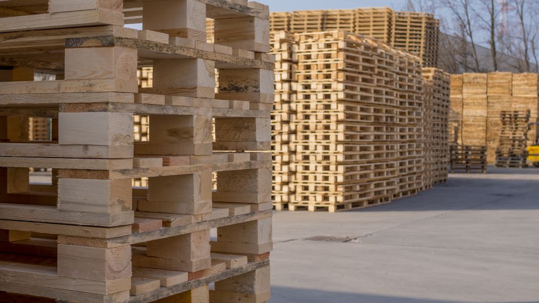 Pallets interscambio